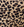 Wide Leg Jeans - Leopard