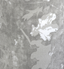 Barrel Jeans - Camo